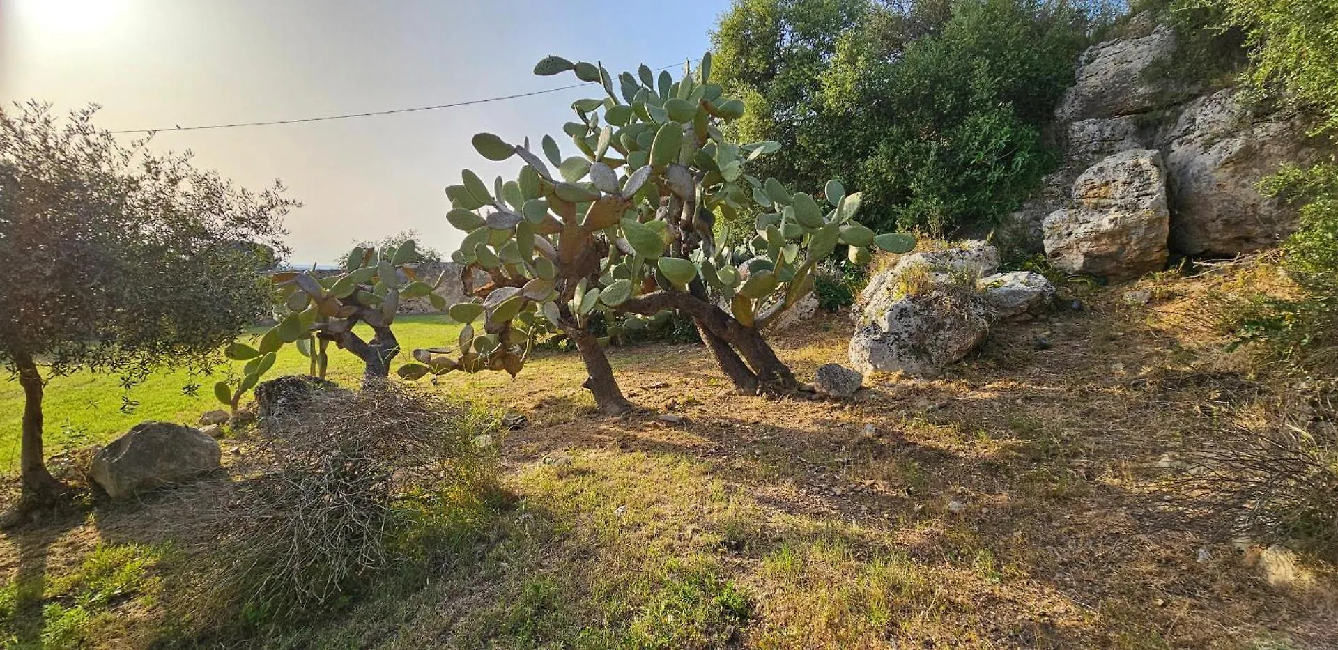Relais Casa Mirabile Guest House Menfi