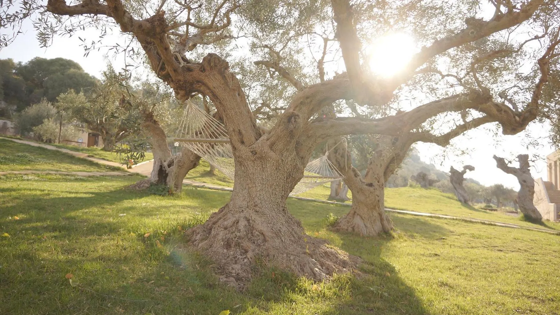 Country house Relais Casa Mirabile Guest House Menfi